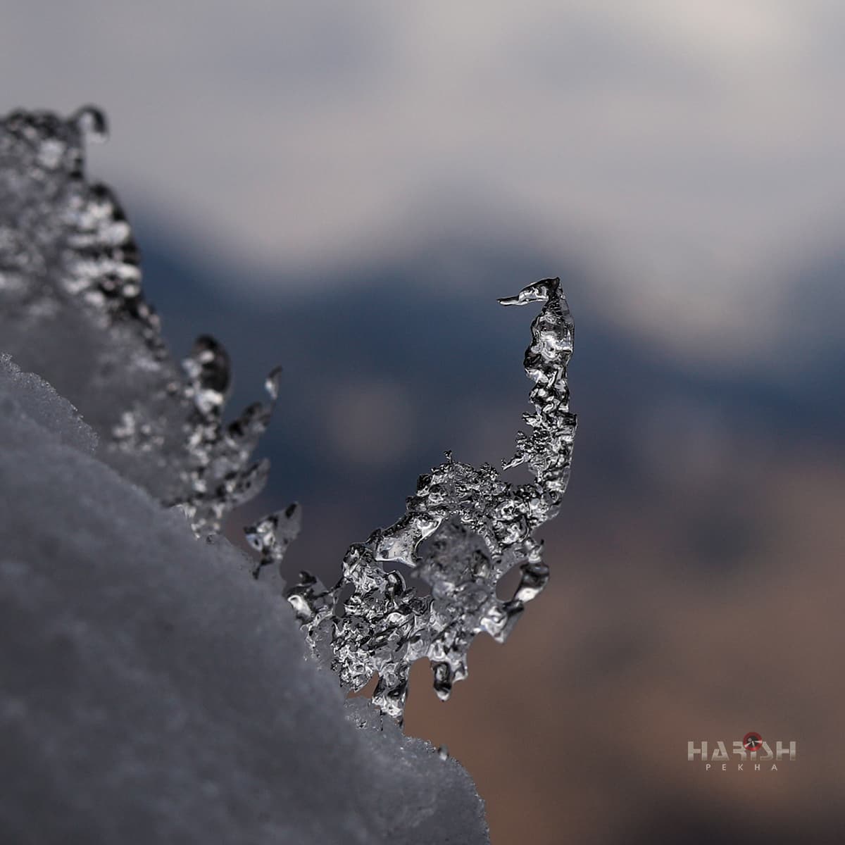 Ice Crystal