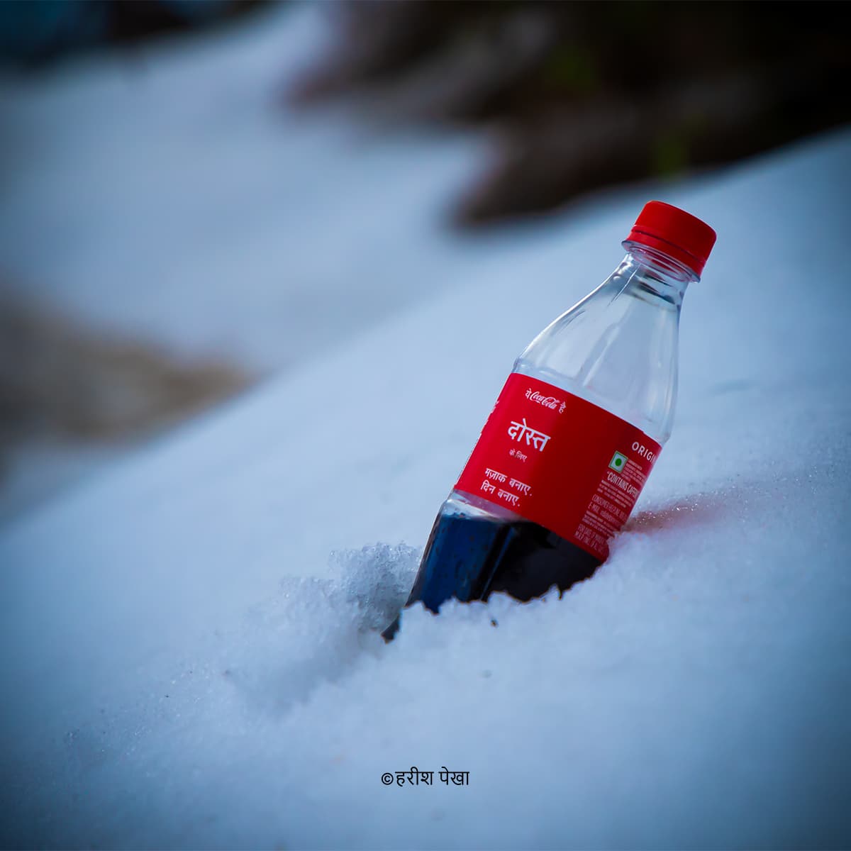 Coca-Cola in Snow