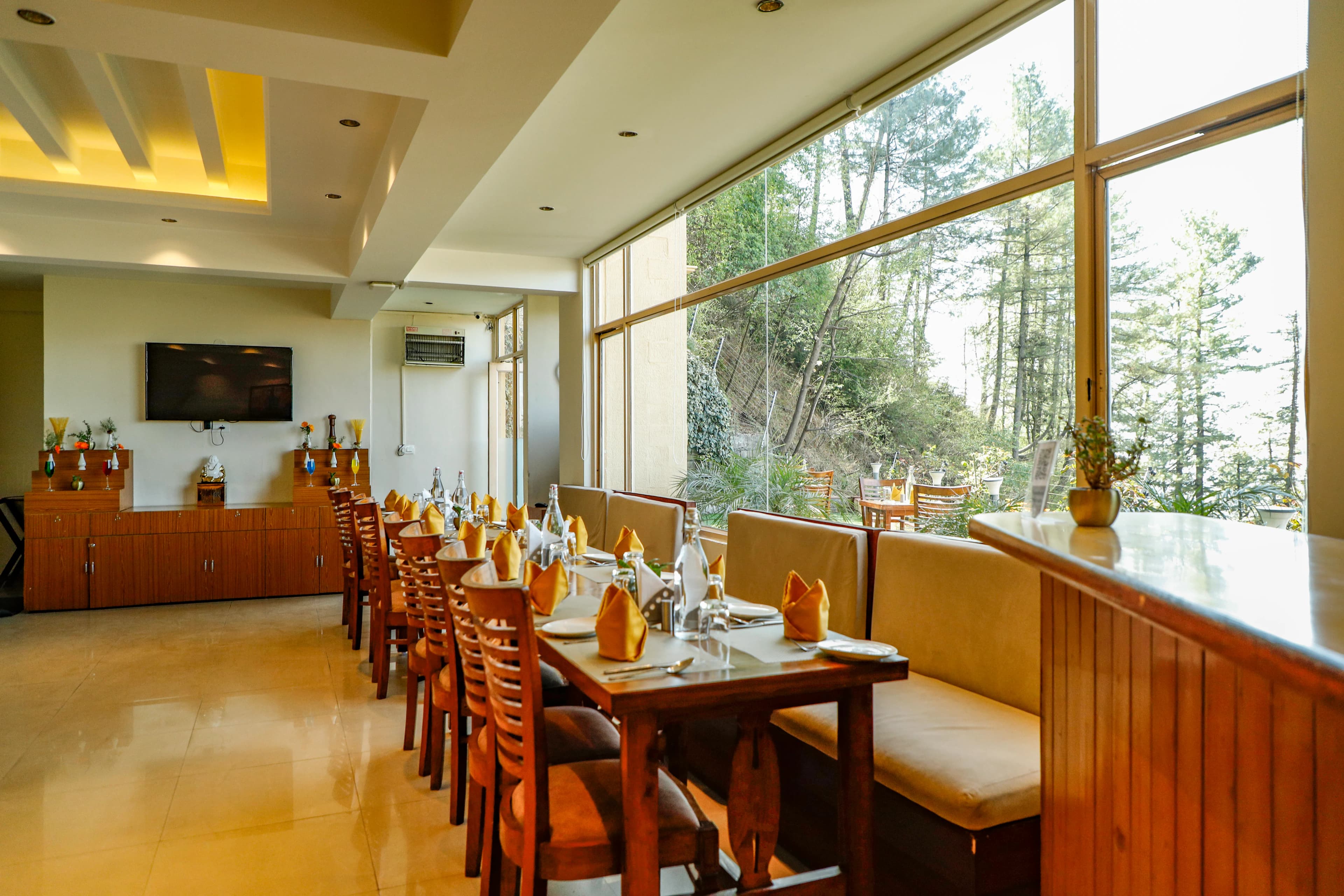 Forest Dining